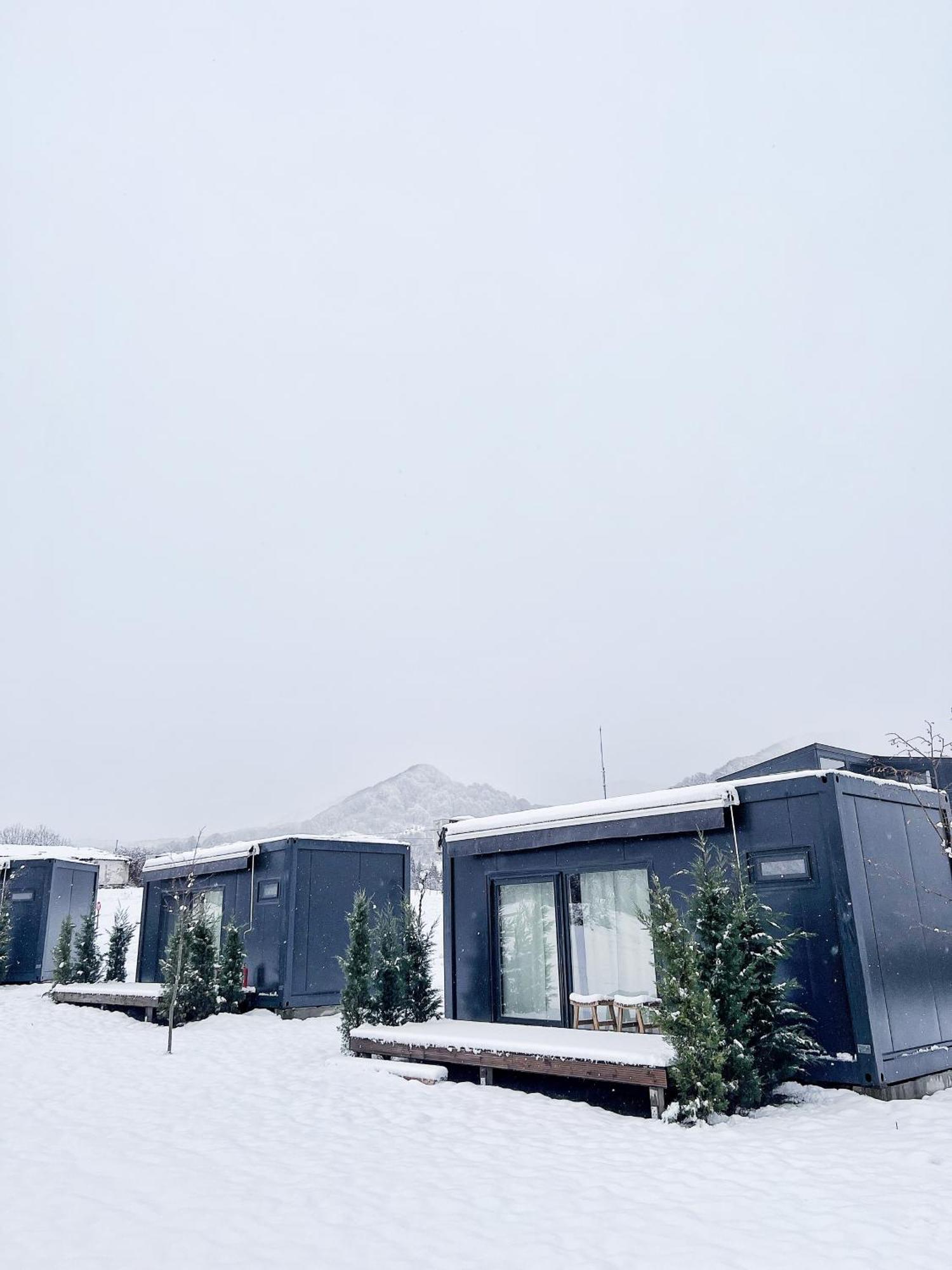 Flandra Glamping Hotel Corbeni Bagian luar foto